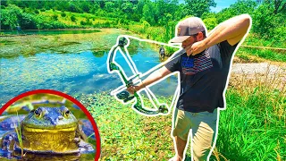 BOWFISHING for GIANT BULLFROGS!!! (Catch Clean Cook)