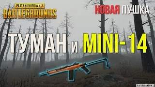 Новое оружие Mini-14 и Туман в PlayerUnknown’s Battlegrounds!