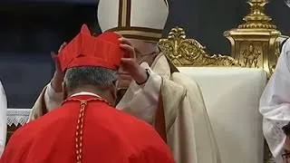 Raw: Pope Elevates 20 New Cardinals