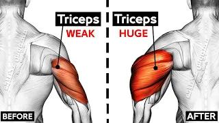 How To Build Your Triceps workout Fast (8 Effective Exercises)