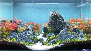 TUTORIAL BRAZILIAN STYLE AQUASCAPE 60P PART 2