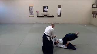 Aikido Seminar: TOITSUTAI - Unified Body (Part 2)