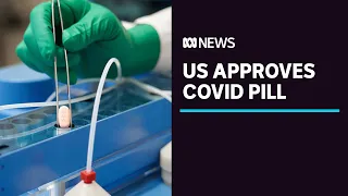 US approves first COVID-19 pill, South Africa says Omicron appears milder | ABC News