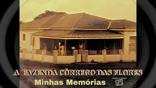 PvsTv Novidades -  MINHAS MEMÓRIAS ESPECIAIS- A FAZENDA CÓRREGO DAS FLORES