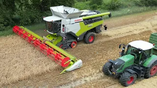 CLAAS LEXION 8700TT am Gerste dreschen / Abfahrer FENDT 936 / 4K