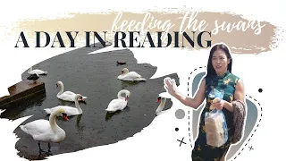 Windy day feeding the Reading swans.