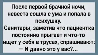 Как Невеста После Ночи Попала в Психушку! Сборник Свежих Анекдотов! Юмор!