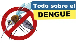 EL DENGUE CLASICO vs  DENGUE HEMORRAGICO #dengue #clasico #hemorragico