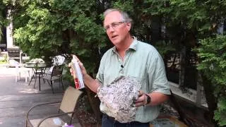 How to remove a wasp nest with insecticidal spray