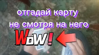 за такой фокус с вами не будут играть в карты / обучение - фокусы