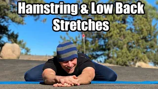 Best Yoga Stretches for Tight Hamstrings & Low Back (10 Min Routine) Sean Vigue Fitness