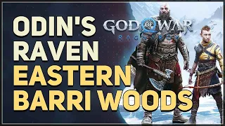 Eastern Barri Woods Odin's Raven God of War Ragnarok