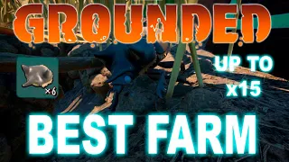 Grounded 1.0 Best Farm for Black Ox Horns (Tier 3 Weapon Upgrades) #grounded #tg smooth