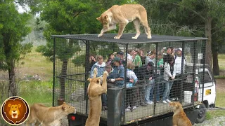 Die 10 gefährlichsten Zoos der Welt