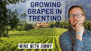 WSET Level 4 Diploma D3 Italy Trentino Grape Growing