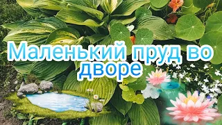 Маленький пруд во дворе / Цветы вокруг пруда