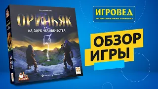 Ориньяк. На заре человечества. Обзор настольной игры от Игроведа