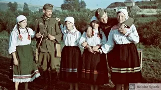 Как нацисты решали "половой вопрос" на оккупированных советских территориях