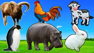 Animal Sounds : Cow, Sheep, Horse, Cat, Duck, Elephant, monkey, peacock, dog, Animals moments