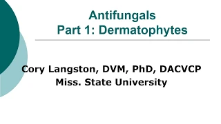 Antifungal Therapy in Veterinary Medicine, Part 1: Dermatophytes