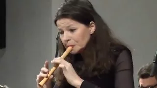 Sonatori de la Gioiosa Marca, Dorothee Oberlinger | Antonio Vivaldi: Concerto RV 443  in C-Dur