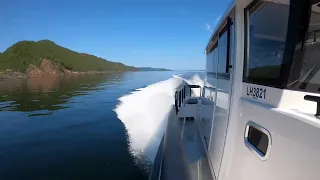 Sargo 31 cruising