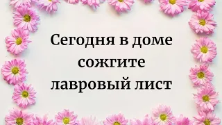 Сегодня в доме сожгите лавровый лист.