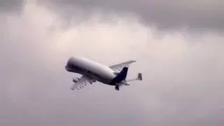 Beluga departing Hawarden