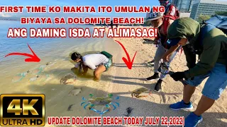 UMUULAN NG BIYAYA SA DOLOMITE BEACH FIRST TIME KO MAKITANG GANITO KARAMING ALIMASAG AT ISDA!