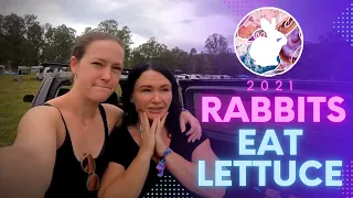 Rabbits Eat Lettuce Festival 2021