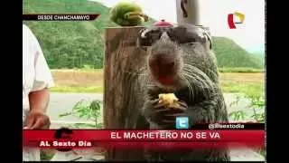 El machetero no se va: Chanchamayo se opone a traslado de Pepe Lucho