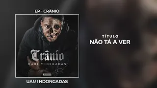 Uami Ndongadas- Não tá a ver