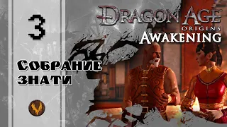 Вопросы управления - Dragon age: Awakening - Прохождение за мага поддержки (кошмарный сон) - #3