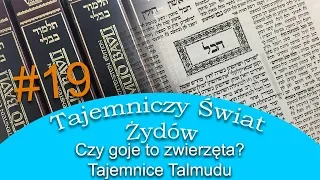 Tajemnice Talmudu - Czy goje to zwięrzęta - Tajemniczy Świat Żydów #19