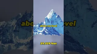 Mt. Everest is Not the Tallest Mountain on EARTH ⛰️!