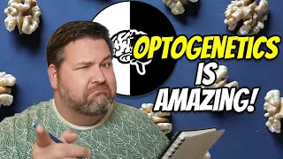 What is Optogenetics? The technology that is changing neuroscience