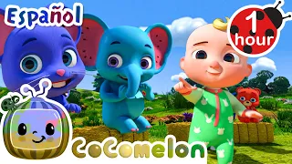 ¡Canta con Old MacDonald! | CoComelon y los animales 🍉| Dibujos animados para niños