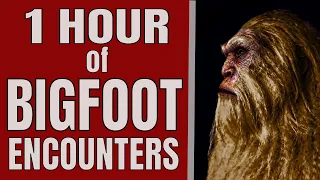 Bigfoot Ultra Marathon 3 - 1 HOUR of Bigfoot Encounters