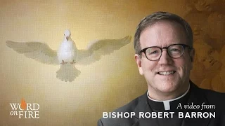 Bishop Barron on the Sacrament of Confirmation