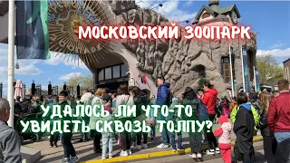 Московский зоопарк сегодня. Кто может посетить бесплатно? И есть ли смысл идти?