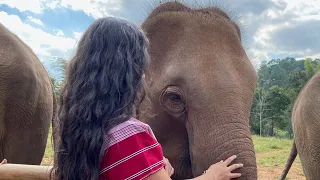 Alimentamos y nos bañamos con elefantes en Chiang Mai | nos vamos a Chiang Rai