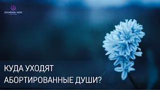 Куда уходят абортированные души и как они влияют на живых?