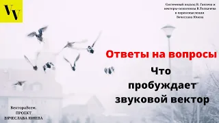 Что пробуждает звуковой вектор. ВектораВсем. Проект Вячеслава Юнева