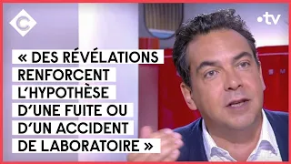 Nouveaux doutes sur l’origine du Covid-19 - C à vous - 07/06/2022