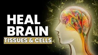Regulate Your Cerebral Blood Flow | Prevent Brain Damage and Stroke | Heal Brain Tissues and Cells