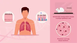 Understanding Epigenetic Reprogramming in COPD: A Breakthrough Study Revealed!