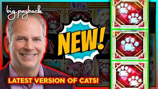 HOT NEW SLOT! Split 'N' Win Link Cats!