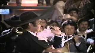 QUE BONITA QUE BONITA VICENTE FERNANDEZ