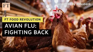 Battling the avian flu epidemic | FT Food Revolution