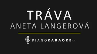Aneta Langerová - Tráva | Piano Karaoke Instrumental